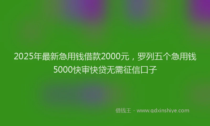 2025年最新急用钱借款2000元，罗列五个急用钱5000快审快贷无需征信口子