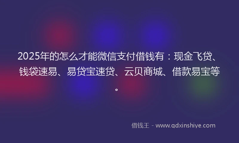 2025年的怎么才能微信支付借钱有：现金飞贷、钱袋速易、易贷宝速贷、云贝商城、借款易宝等。