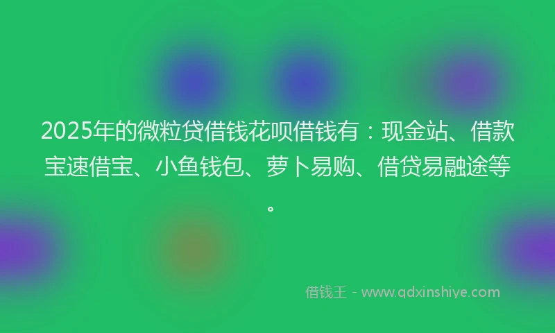 2025年的微粒贷借钱花呗借钱有：现金站、借款宝速借宝、小鱼钱包、萝卜易购、借贷易融途等。