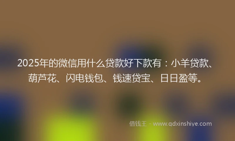 2025年的微信用什么贷款好下款有：小羊贷款、葫芦花、闪电钱包、钱速贷宝、日日盈等。