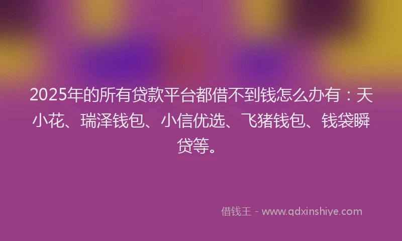2025年的所有贷款平台都借不到钱怎么办有：天小花、瑞泽钱包、小信优选、飞猪钱包、钱袋瞬贷等。