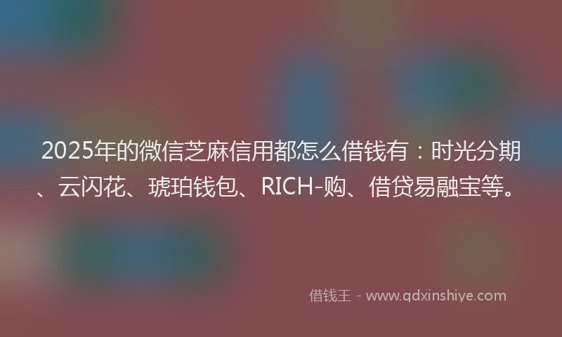 2025年的微信芝麻信用都怎么借钱有：时光分期、云闪花、琥珀钱包、RICH-购、借贷易融宝等。