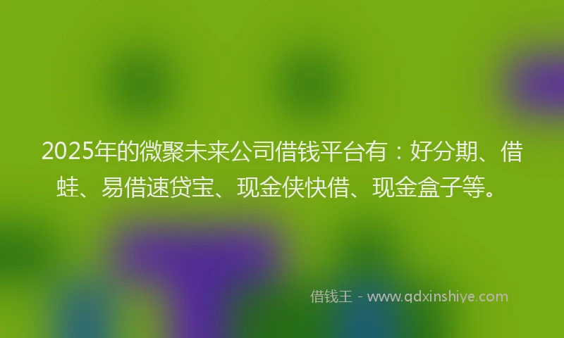 2025年的微聚未来公司借钱平台有：好分期、借蛙、易借速贷宝、现金侠快借、现金盒子等。