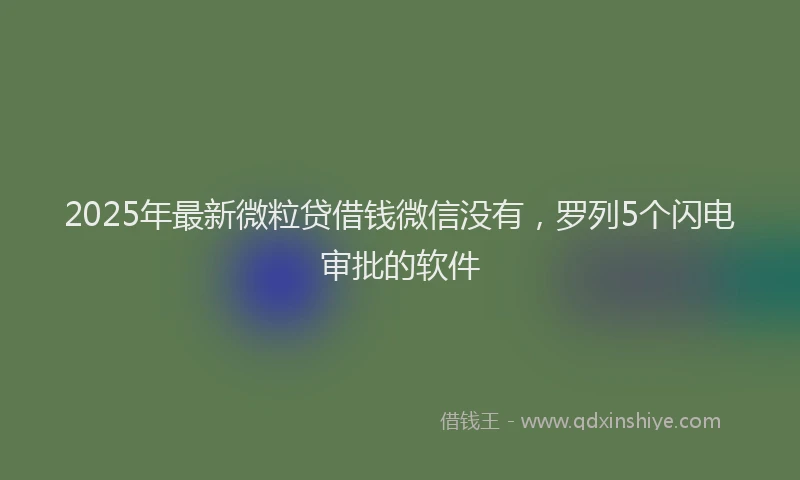 2025年最新微粒贷借钱微信没有，罗列5个闪电审批的软件