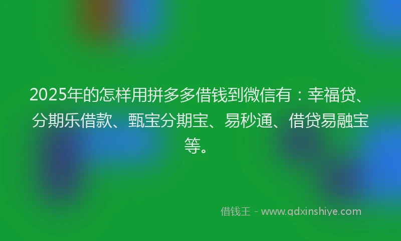 2025年的怎样用拼多多借钱到微信有：幸福贷、分期乐借款、甄宝分期宝、易秒通、借贷易融宝等。