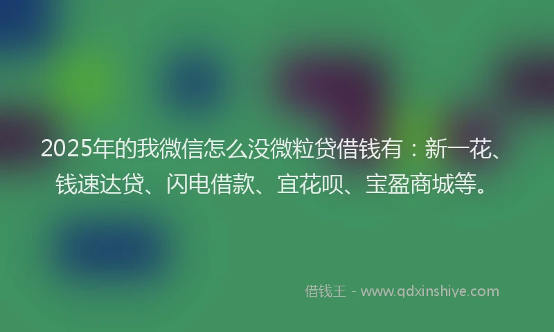 2025年的我微信怎么没微粒贷借钱有：新一花、钱速达贷、闪电借款、宜花呗、宝盈商城等。