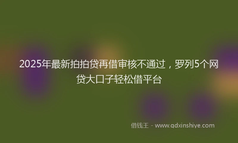 2025年最新拍拍贷再借审核不通过，罗列5个网贷大口子轻松借平台
