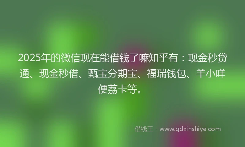 2025年的微信现在能借钱了嘛知乎有：现金秒贷通、现金秒借、甄宝分期宝、福瑞钱包、羊小咩便荔卡等。