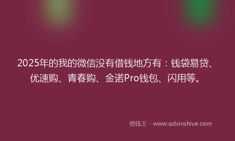 2025年的我的微信没有借钱地方有：钱袋易贷、优速购、青春购、金诺Pro钱包、闪用等。