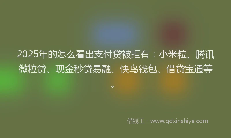 2025年的怎么看出支付贷被拒有：小米粒、腾讯微粒贷、现金秒贷易融、快鸟钱包、借贷宝通等。
