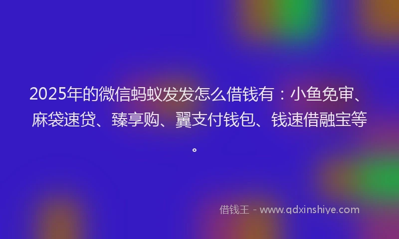 2025年的微信蚂蚁发发怎么借钱有：小鱼免审、麻袋速贷、臻享购、翼支付钱包、钱速借融宝等。