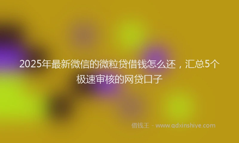 2025年最新微信的微粒贷借钱怎么还，汇总5个极速审核的网贷口子