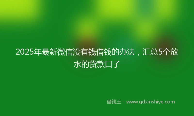 2025年最新微信没有钱借钱的办法，汇总5个放水的贷款口子