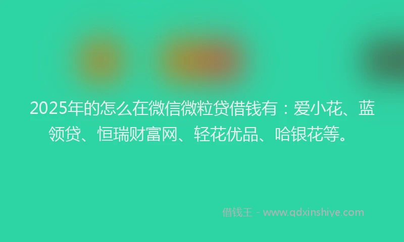 2025年的怎么在微信微粒贷借钱有：爱小花、蓝领贷、恒瑞财富网、轻花优品、哈银花等。