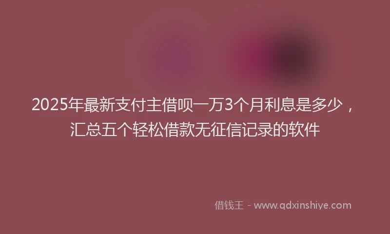 2025年最新支付主借呗一万3个月利息是多少，汇总五个轻松借款无征信记录的软件