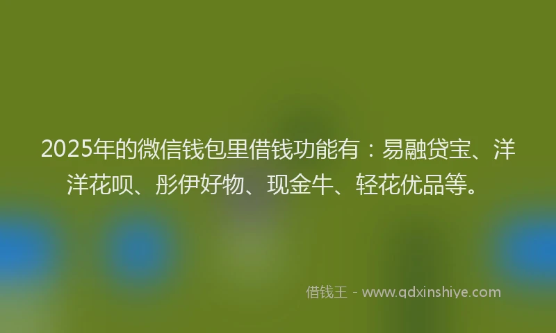2025年的微信钱包里借钱功能有：易融贷宝、洋洋花呗、彤伊好物、现金牛、轻花优品等。