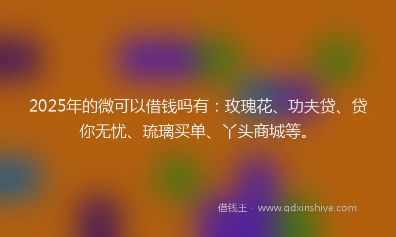 2025年的微可以借钱吗有：玫瑰花、功夫贷、贷你无忧、琉璃买单、丫头商城等。