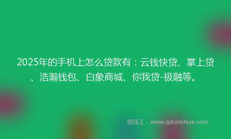 2025年的手机上怎么贷款有：云钱快贷、掌上贷、浩瀚钱包、白象商城、你我贷-极融等。