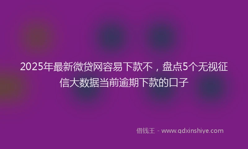 2025年最新微贷网容易下款不，盘点5个无视征信大数据当前逾期下款的口子