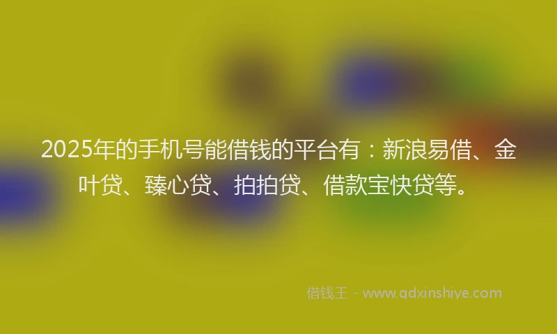 2025年的手机号能借钱的平台有：新浪易借、金叶贷、臻心贷、拍拍贷、借款宝快贷等。