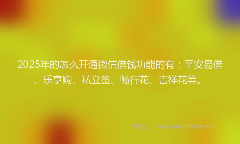 2025年的怎么开通微信借钱功能的有：平安易借、乐享购、私立签、畅行花、吉祥花等。