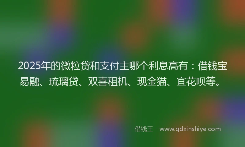 2025年的微粒贷和支付主哪个利息高有：借钱宝易融、琉璃贷、双喜租机、现金猫、宜花呗等。