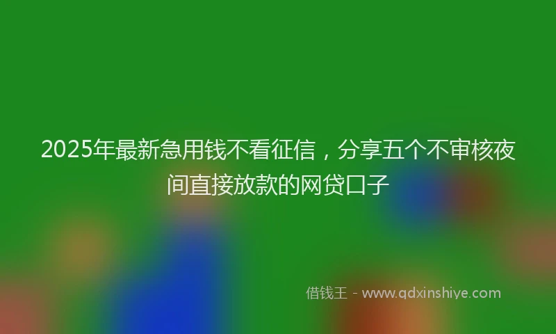 2025年最新急用钱不看征信，分享五个不审核夜间直接放款的网贷口子