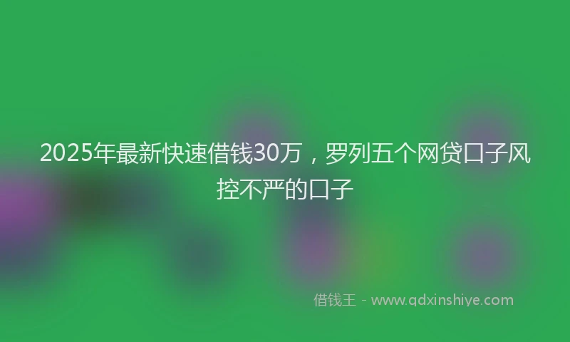 2025年最新快速借钱30万，罗列五个网贷口子风控不严的口子