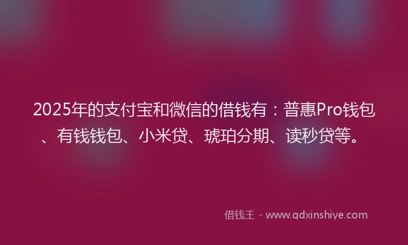 2025年的支付宝和微信的借钱有：普惠Pro钱包、有钱钱包、小米贷、琥珀分期、读秒贷等。