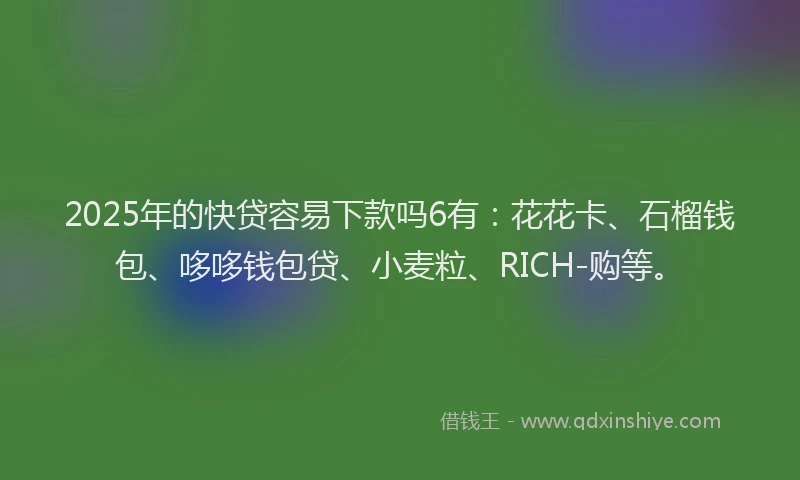 2025年的快贷容易下款吗6有：花花卡、石榴钱包、哆哆钱包贷、小麦粒、RICH-购等。