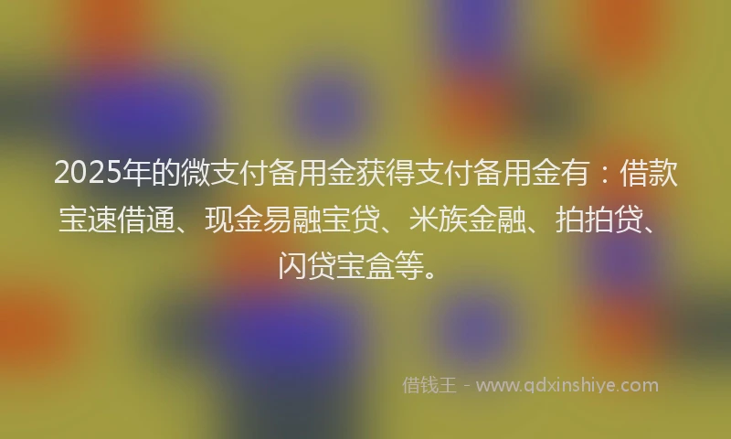 2025年的微支付备用金获得支付备用金有：借款宝速借通、现金易融宝贷、米族金融、拍拍贷、闪贷宝盒等。