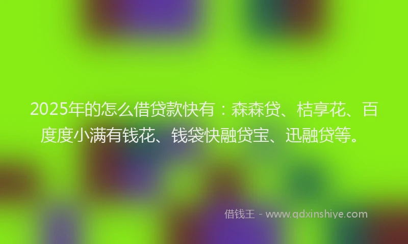 2025年的怎么借贷款快有：森森贷、桔享花、百度度小满有钱花、钱袋快融贷宝、迅融贷等。