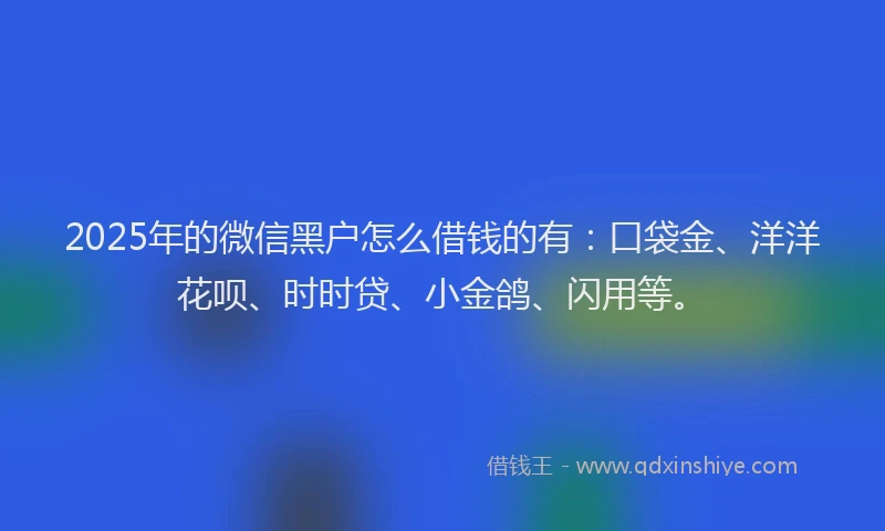 2025年的微信黑户怎么借钱的有：口袋金、洋洋花呗、时时贷、小金鸽、闪用等。