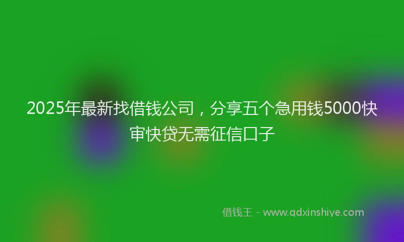 2025年最新找借钱公司，分享五个急用钱5000快审快贷无需征信口子