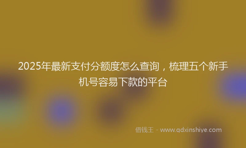 2025年最新支付分额度怎么查询，梳理五个新手机号容易下款的平台