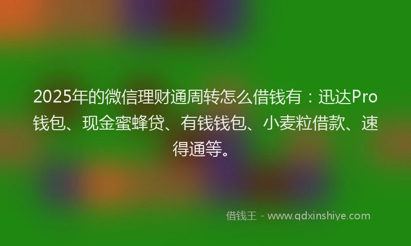 2025年的微信理财通周转怎么借钱有：迅达Pro钱包、现金蜜蜂贷、有钱钱包、小麦粒借款、速得通等。