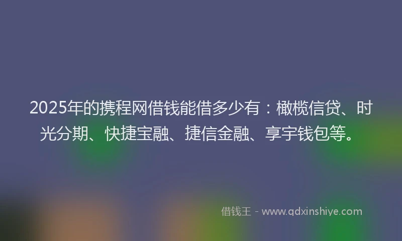 2025年的携程网借钱能借多少有：橄榄信贷、时光分期、快捷宝融、捷信金融、享宇钱包等。