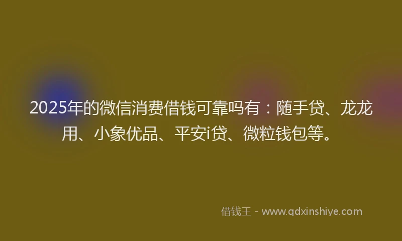 2025年的微信消费借钱可靠吗有：随手贷、龙龙用、小象优品、平安i贷、微粒钱包等。