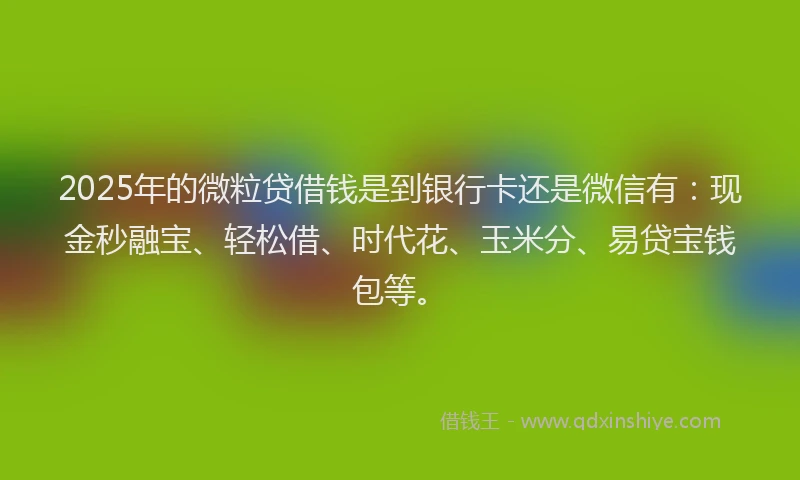 2025年的微粒贷借钱是到银行卡还是微信有：现金秒融宝、轻松借、时代花、玉米分、易贷宝钱包等。