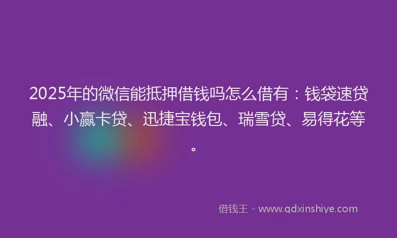 2025年的微信能抵押借钱吗怎么借有：钱袋速贷融、小赢卡贷、迅捷宝钱包、瑞雪贷、易得花等。
