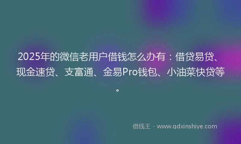 2025年的微信老用户借钱怎么办有：借贷易贷、现金速贷、支富通、金易Pro钱包、小油菜快贷等。