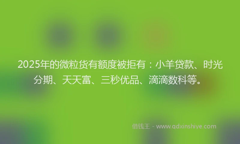 2025年的微粒货有额度被拒有：小羊贷款、时光分期、天天富、三秒优品、滴滴数科等。