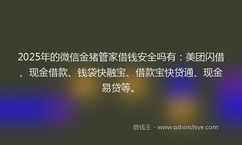 2025年的微信金猪管家借钱安全吗有：美团闪借、现金借款、钱袋快融宝、借款宝快贷通、现金易贷等。