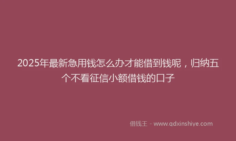 2025年最新急用钱怎么办才能借到钱呢，归纳五个不看征信小额借钱的口子