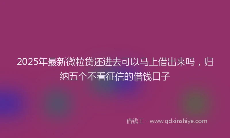 2025年最新微粒贷还进去可以马上借出来吗，归纳五个不看征信的借钱口子