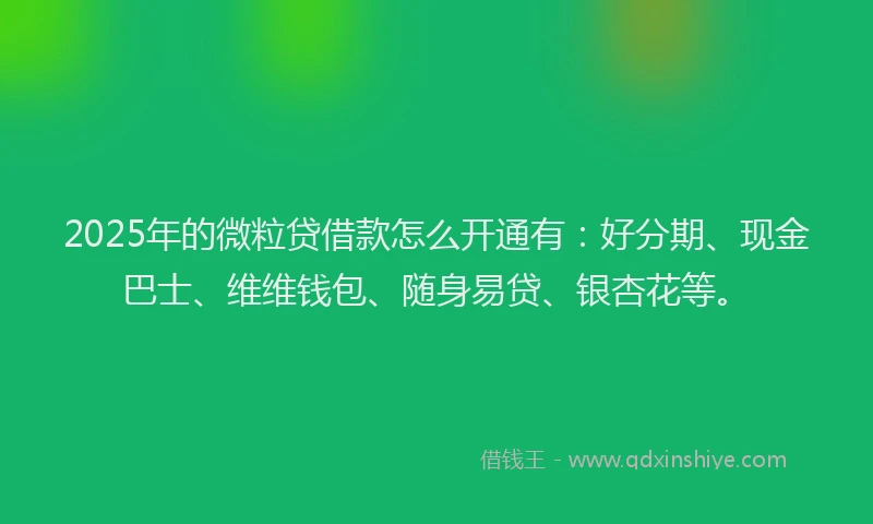 2025年的微粒贷借款怎么开通有：好分期、现金巴士、维维钱包、随身易贷、银杏花等。