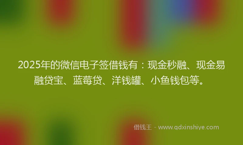 2025年的微信电子签借钱有：现金秒融、现金易融贷宝、蓝莓贷、洋钱罐、小鱼钱包等。