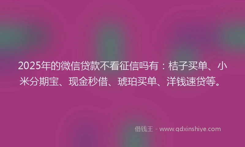 2025年的微信贷款不看征信吗有：桔子买单、小米分期宝、现金秒借、琥珀买单、洋钱速贷等。