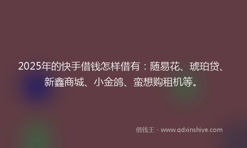 2025年的快手借钱怎样借有：随易花、琥珀贷、新鑫商城、小金鸽、蛮想购租机等。