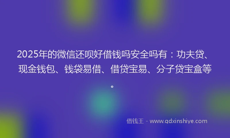 2025年的微信还呗好借钱吗安全吗有：功夫贷、现金钱包、钱袋易借、借贷宝易、分子贷宝盒等。